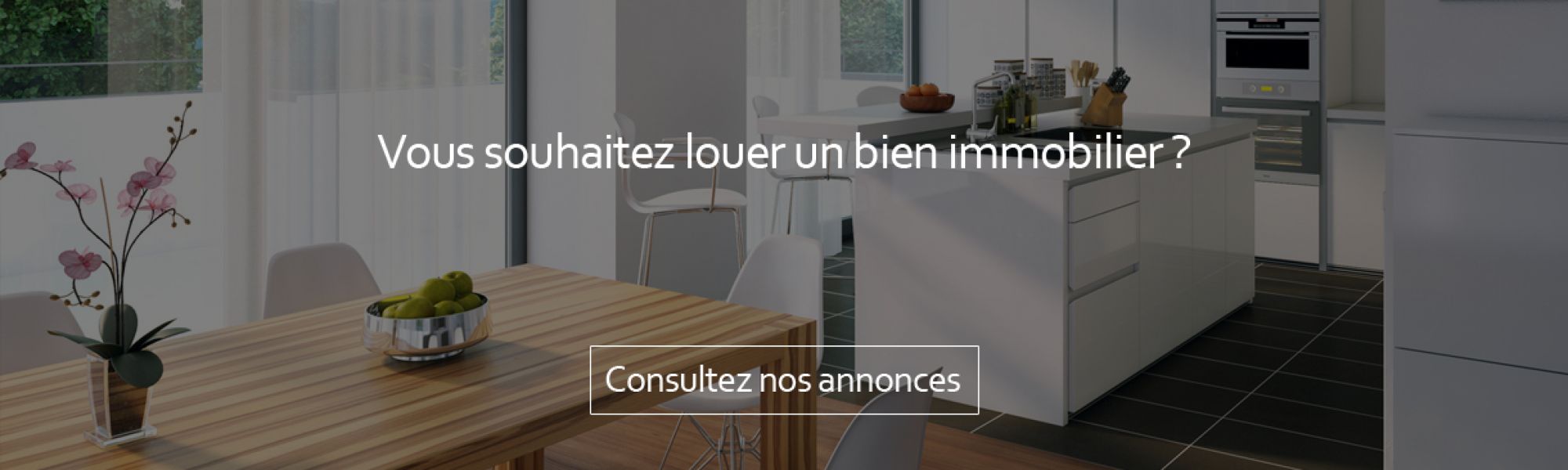annonces locations immobilières